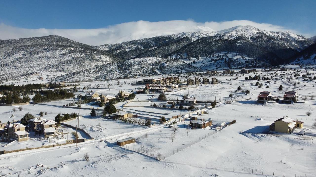 Chalet Renata 1 Livadi Arachovas Kalívia Buitenkant foto